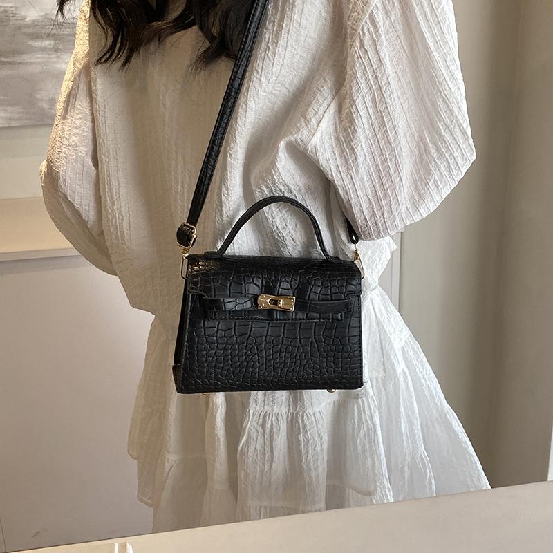 French Niche Design Stone Pattern Bag Women's 2024 Spring New Texture Handbag Retro Fashion Messenger Bag