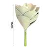 6.3in Plastic Artificial Succulent Plant Green Pink Faux Succulent Plant Small Bonsai Home Office Desktop Decoration