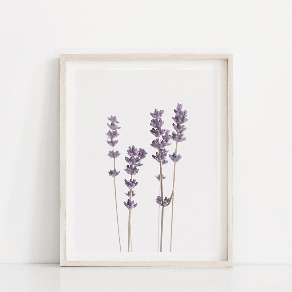 Nordic Style Lavender Botanical Posters Botanical Canvas Painting Farmhouse Wall Art Pictures for Living Room Home Decoration