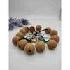 Cork Ball Keychain, Stopper, Coaster & Cup Sleeve Set