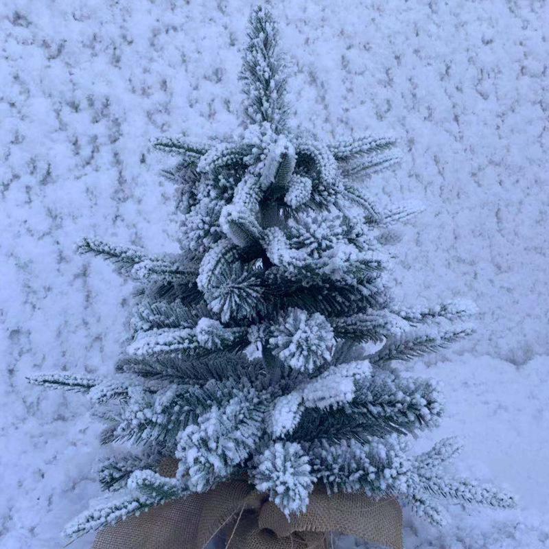 Mini Christmas Tree Snow Scene Desktop Ornament