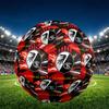 SC Freiburg Print Size 5 Soccer Ball, PU Wear Resistant Football for Match Training and Daily Practice, Birthday Gift for Soccer Fans