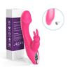 Aixia Oli Bunny Ear Vibrating G-Spot & Clitoral Massager for Women