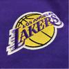 Jordan Lakers LeBron Mikina s kapucí na zip s potiskem loga abecedy Dětské bundy Fialová 3Z2B7FEKU-LAK