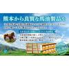 Plus for Planning Handmade Horse Oil Soap (Unscented) 90g x 2/Contains 45% of 100% Japanese Horse Oil in Soap Cold Process Manufacturing Dry Skin