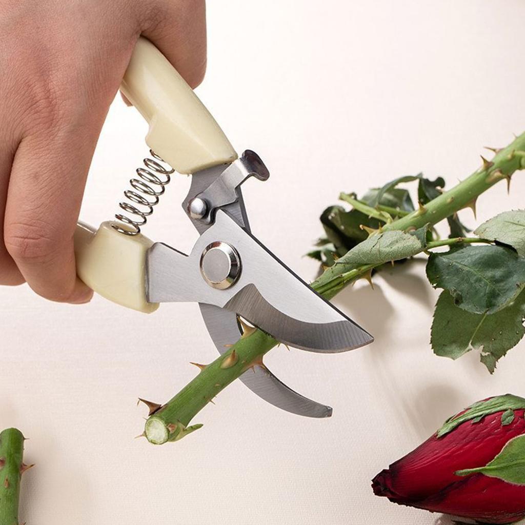 Profesyonel Bahçe Bitkisi Budama Makası Premium Keskin Paslanmaz Çelik Kesici Makaslar Dal Bahçecilik Aleti Bahçe Dikim Aleti