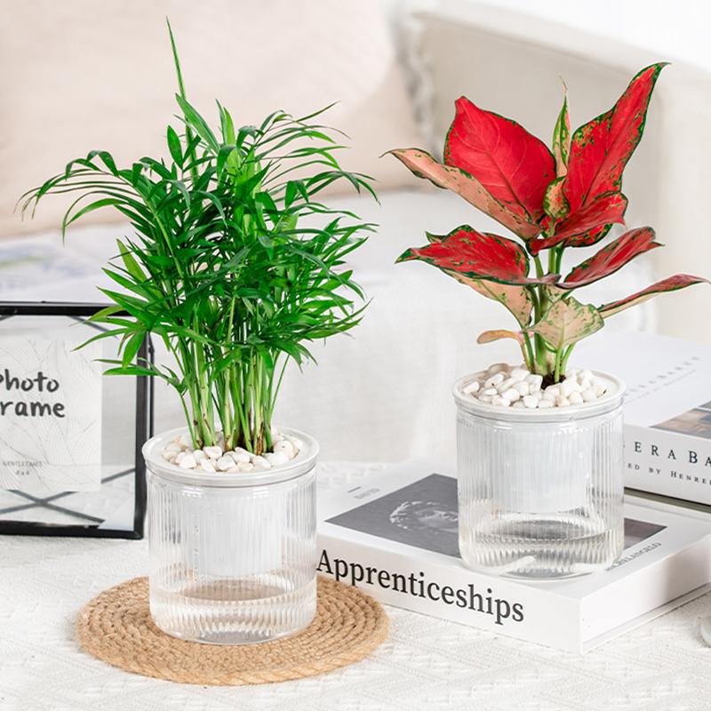 Self Watering Plant Pot Hydroponic Flower Pot Double Layer Plastic Flowerpot Cotton Rope Water-Absorbing Planter Garden Supplies