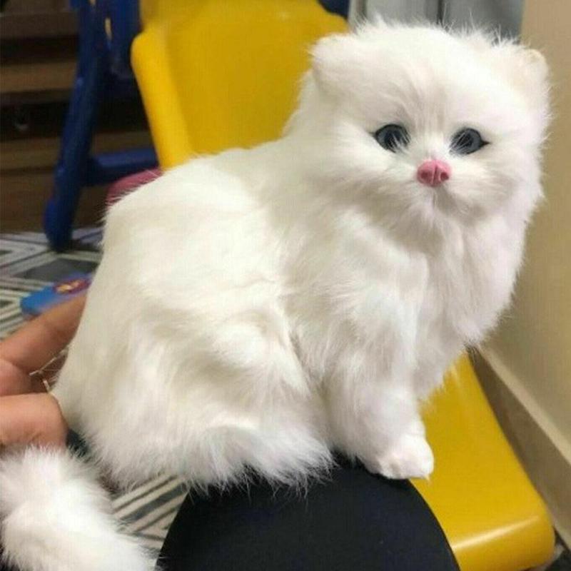1Pc Simulation Persian Cat Toy Cute Persian Cat Realistic Plush Toy Children's Gift Desktop Toy Decoration
