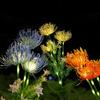 Outdoor Solar Shore Flower Lights, Waterproof LED Garden Stake Lamps, Decorative Landscape Lighting for Courtyard Lawn Patio Yard Decor