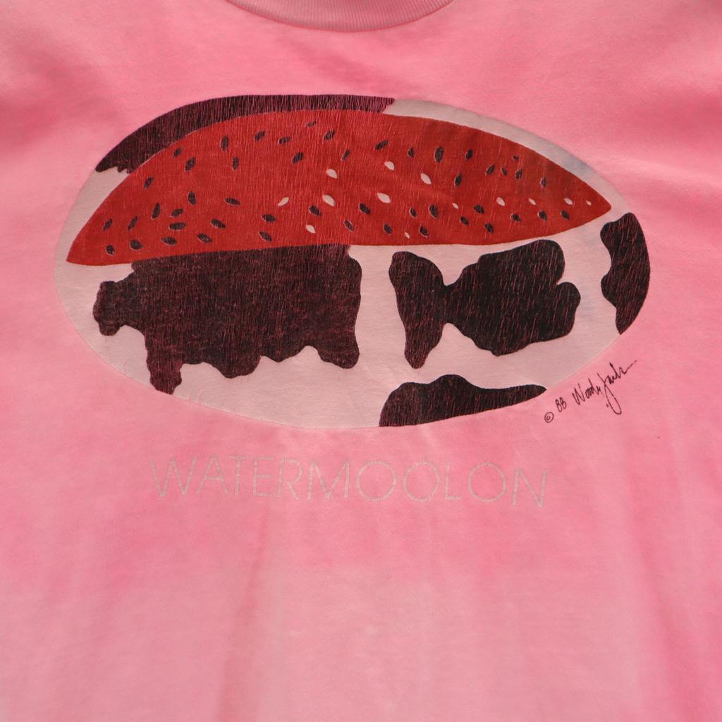 Skkimers 80s Made In USA Vintage Watermelon Short Sleeve T-shirt Men's Used