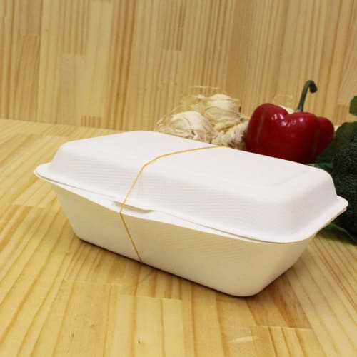 Nakamura ECO Sugarcane Fiber Food Packs (Commercial Use), Large (600ml Capacity), 50 Count, White