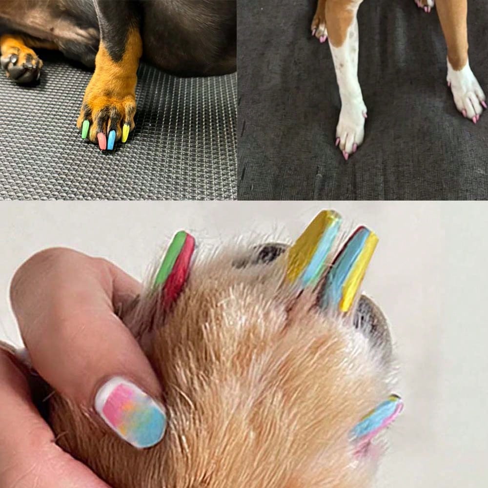 Pet Nail Polish For Dogs Or Cats, Easy Application Dog Nail Polish, Fast Dry Dog Polish-12colors