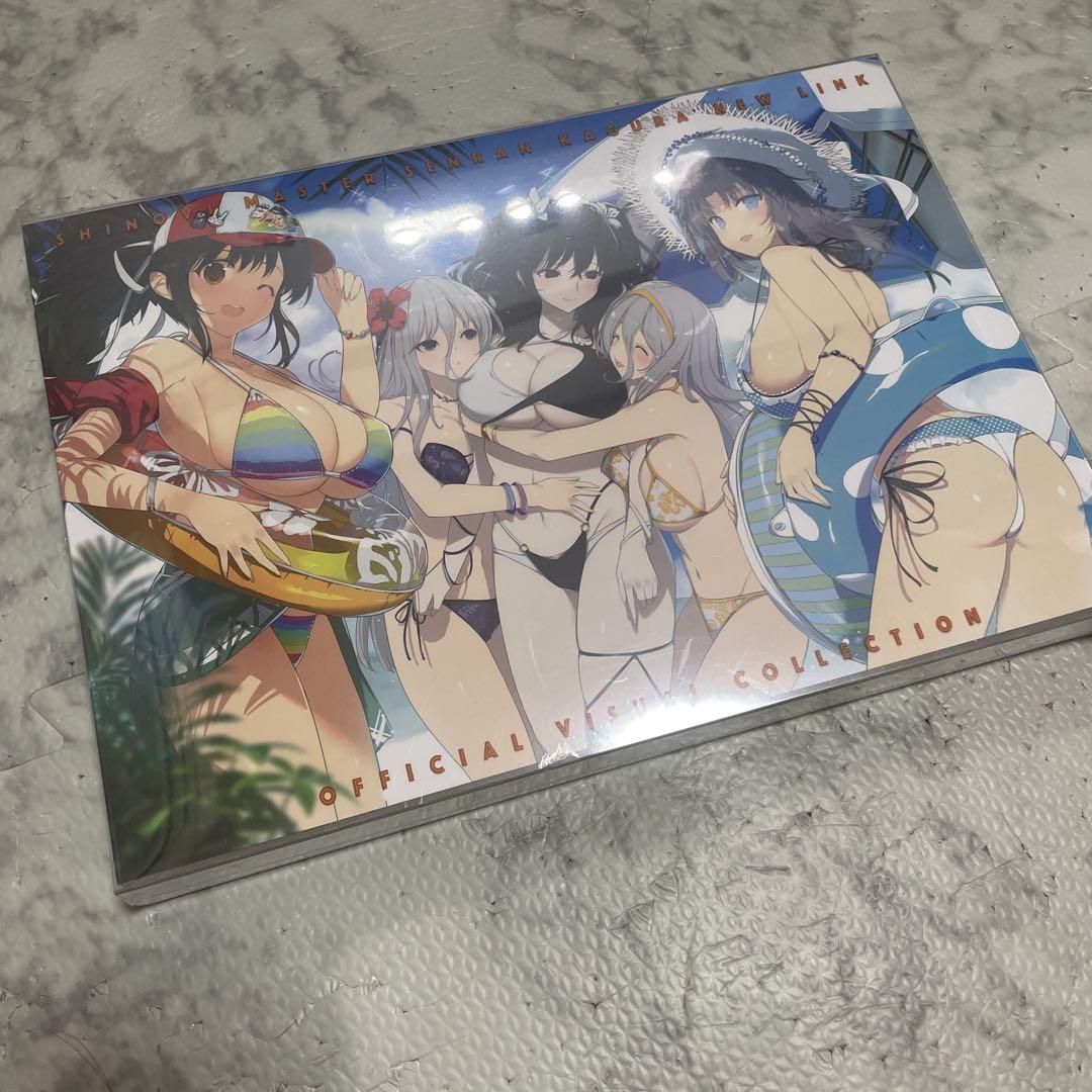 

[USED] Senran Kagura Shinobi Master Official Art Book Visual Collection Senran Kagura TEN