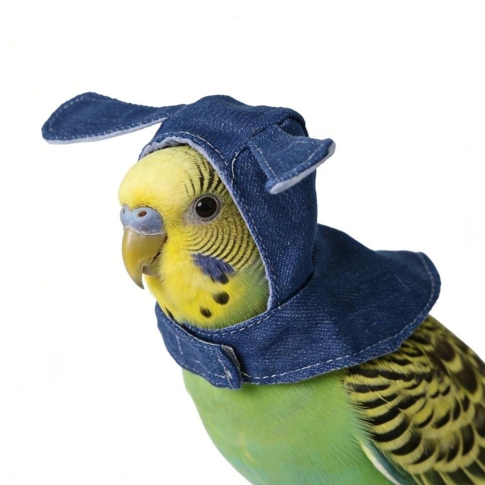 Windproof Parrot Cloak Cozy Bird Flight Cap Cute Bird Role Play Clothes  Cosplay