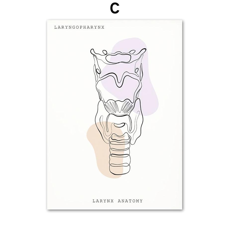 Minimalistický barevný anatomický lékařský plakát a tisky Nástěnné umění Ucho Hrtan Srdce Obraz na plátně Lékař Dárek Clinic Decor