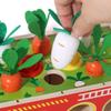 Montessori Toys,Wooden Color & Shape Sorter Toys,Early Educational Sorting Matching Shape,Matching