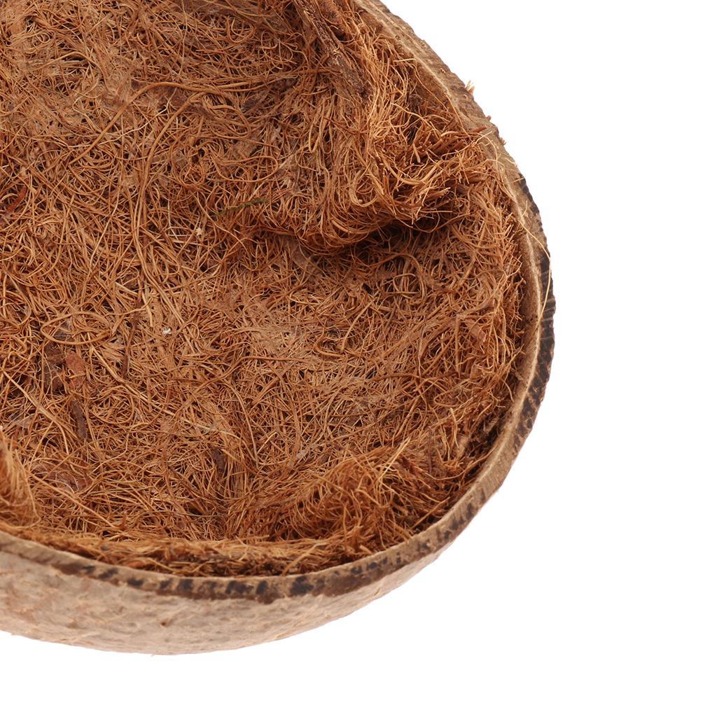 Friendly Coconut Shells Parrot Nest House Cage for Birds Parakeet Parrots Nest Decoration