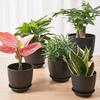 Yousheng Flower Pot with Saucer Plastic Plant Pot with Drainage Holes Modern Decorative Planter for Indoor Outdoor Plants Garden House Plants