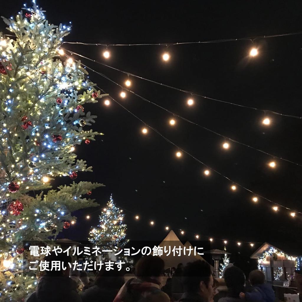 Daidohant 10157317 Stainless Steel Wire Rope (Diameter) 0.04 Inches (1.0 Mm) X Length 16.9