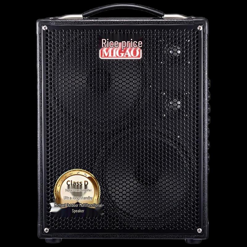 Mi Gao MG883A-LI Portable Saxophone Speaker CN plug (adapter included)