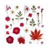 25PCS Dried Flowers Set for DIY Resin Pendant Making Filling Pressed Real Natural Flowers Leaves for Bookmark Phose Case Making