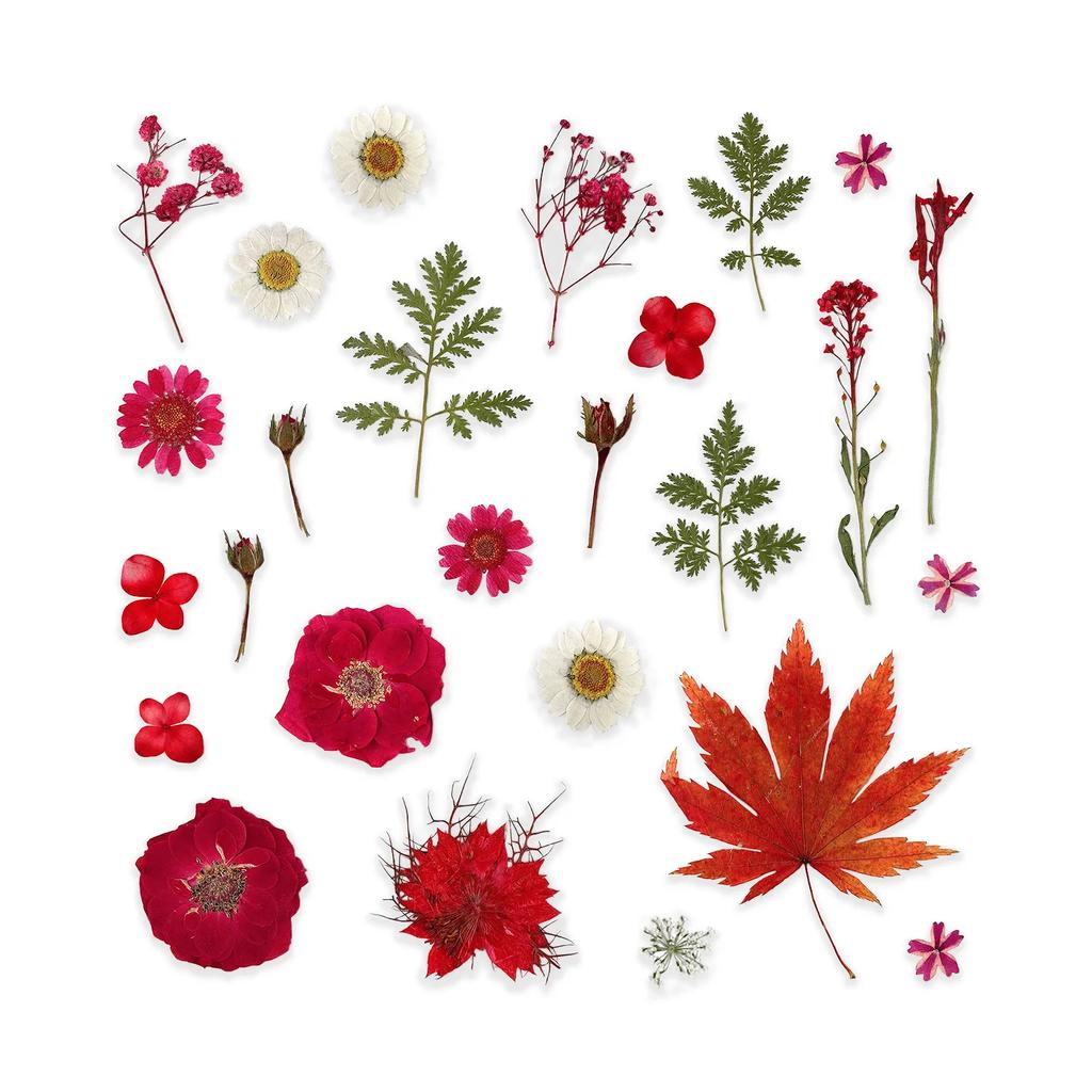 25PCS Dried Flowers Set for DIY Resin Pendant Making Filling Pressed Real Natural Flowers Leaves for Bookmark Phose Case Making