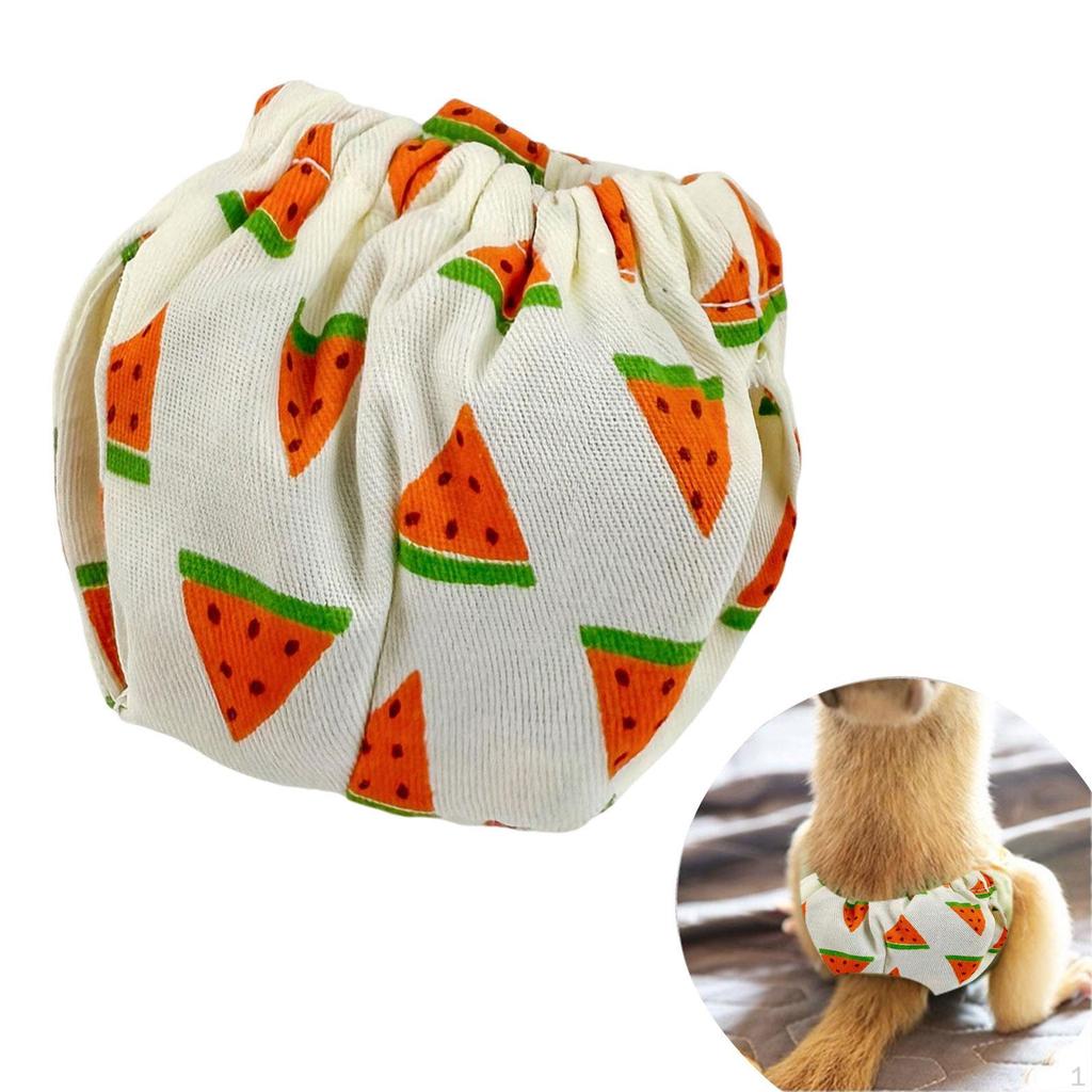 Squirrel Diapers Guinea Pig Diaper Clothes Pet Supplies Reusable Small for Groundhog