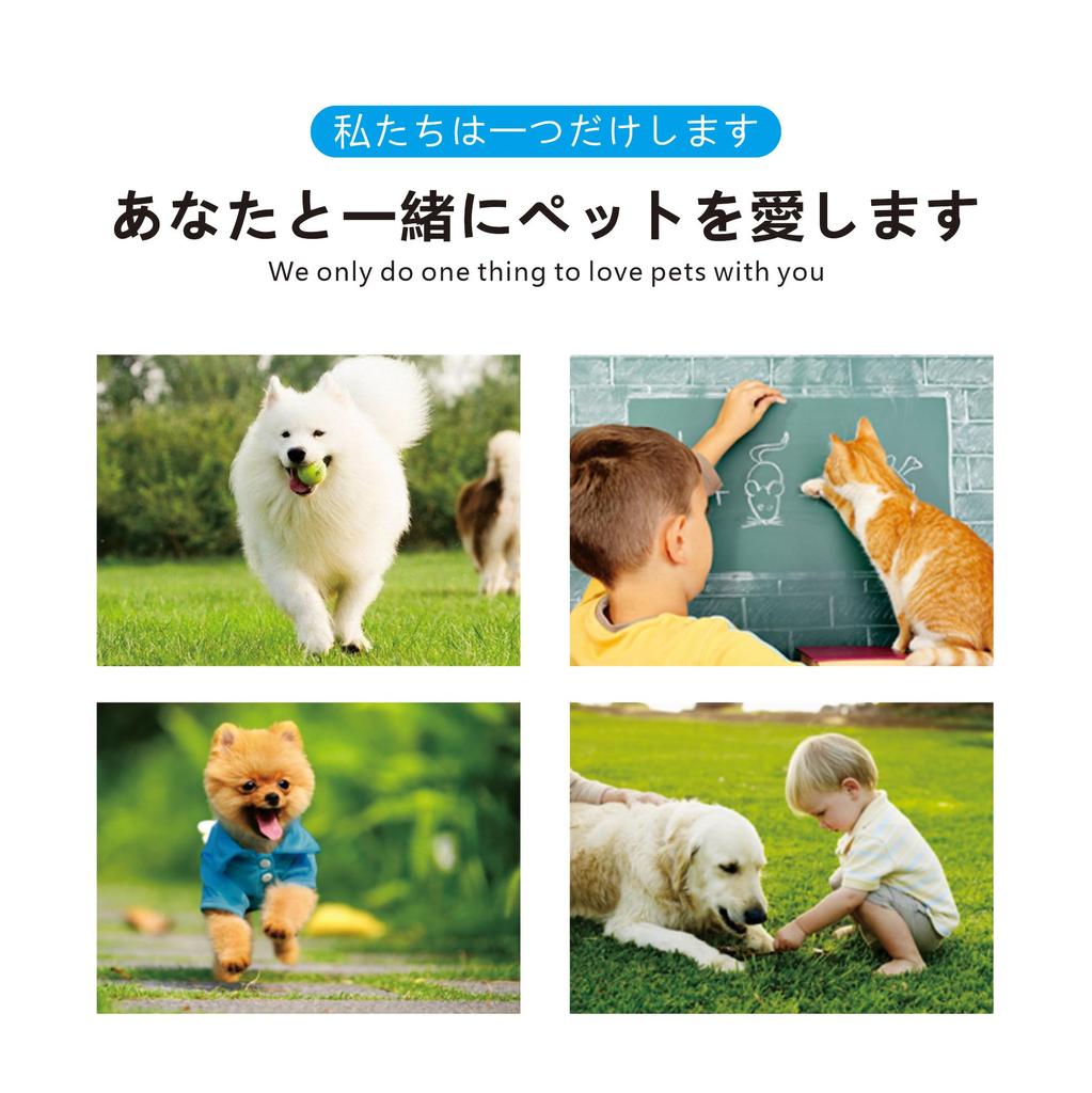 Kayoshiraku New Dog Traction Dog Large Medium Small Dog Dog Dog Pet 3M Reflective Soft Thick Breathable Mesh Net Nylon Training Training Shock Hand