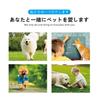 Kayoshiraku New Dog Traction Dog Large Medium Small Dog Dog Dog Pet 3M Reflective Soft Thick Breathable Mesh Net Nylon Training Training Shock Hand