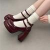Fashion Women's Platform Chunky Heels High Heels Spring New Fashion Vintage Mary Janes Shoes Classic Double Buckle Wedding Dress Shoes