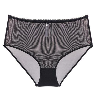 Sexy Seamless High Waist See-through Panties