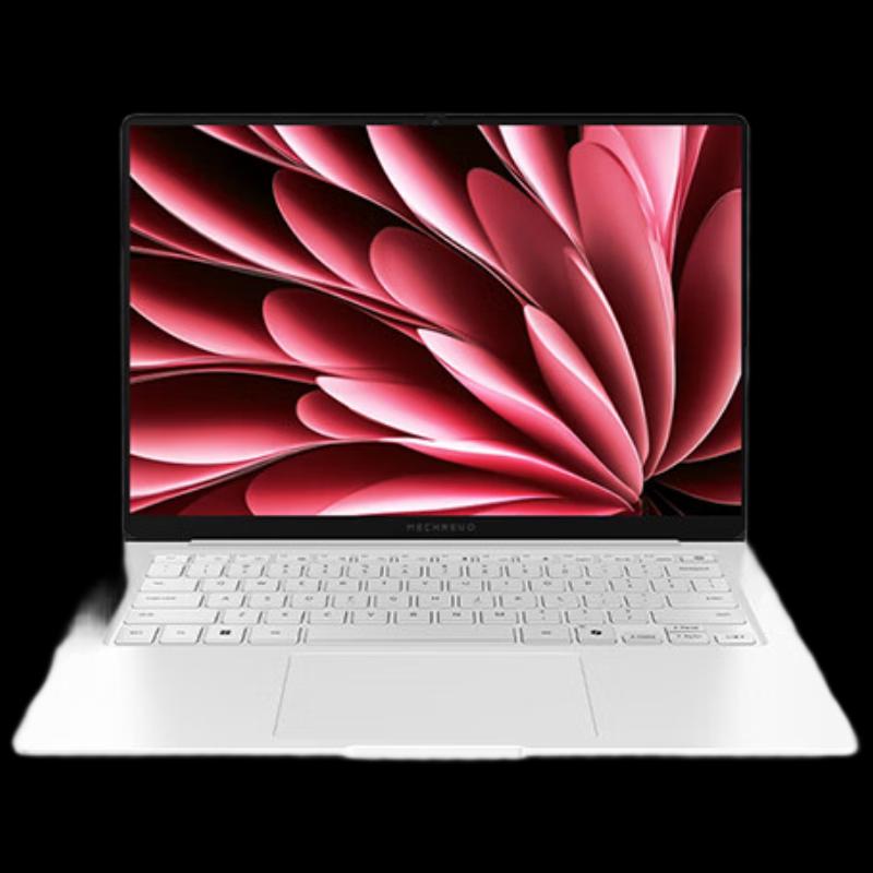 Thunderobot Starlight 14 Business Laptop (CN version)