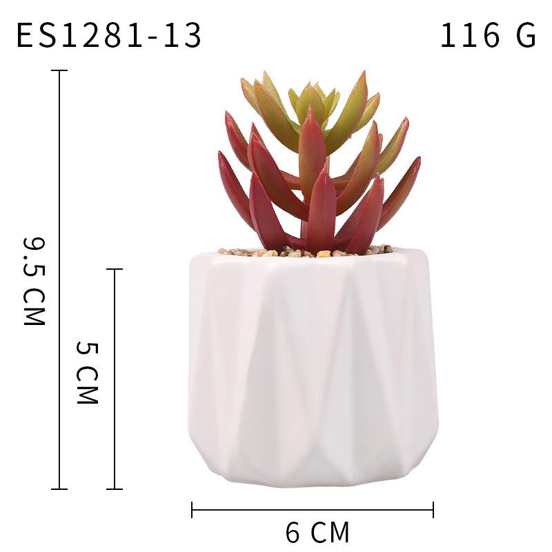 Small, Wavy Cup-Shaped Simulated Succulent Plant Potted Plant, Nordic Office Furniture Fresh Decoration