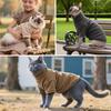 Idepet Sphynx Cat Warm Turtleneck Sweater Hairless Cats Shirt Pullover Kitten T-Shirts Thick Soft Fleece Clothes Cute Outfit Coat Pajamas for Cats