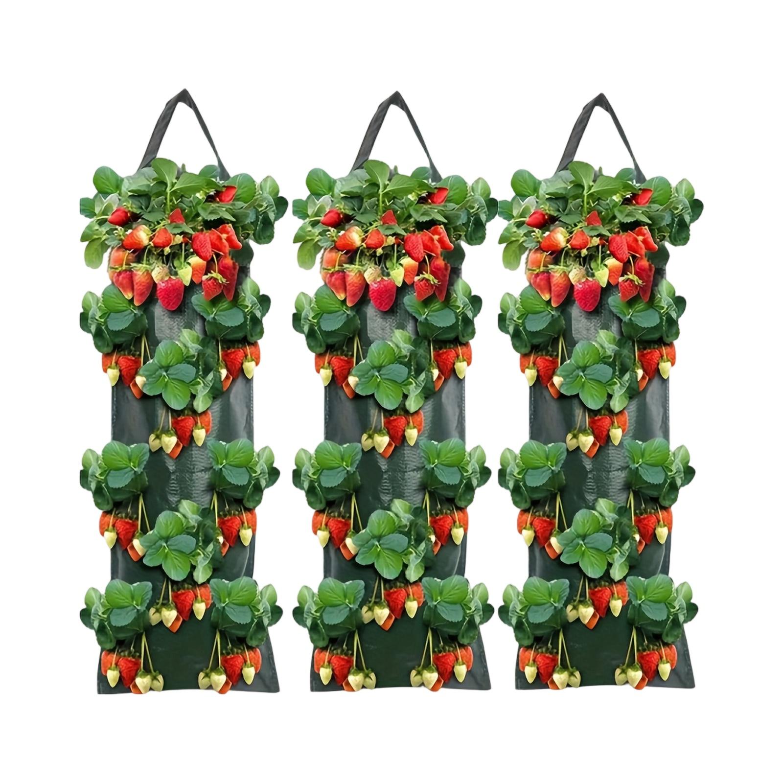 

3pc Hanging 8-Hole Strawberry Planting Bags Made Of PE Material, One Size зелёный