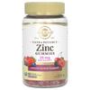 Ultra Potency Zinc Gummies, Mixed Fruit, 25 Mg, 60 Gummies