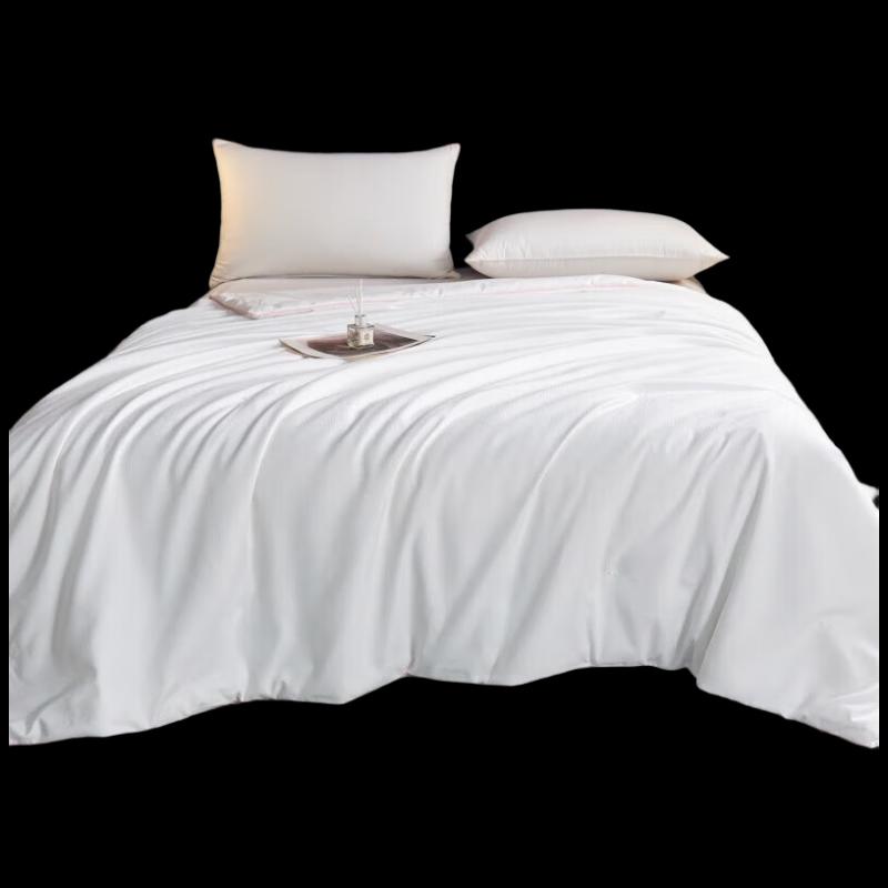 

Hongdou Berlin World All-Season Quilt