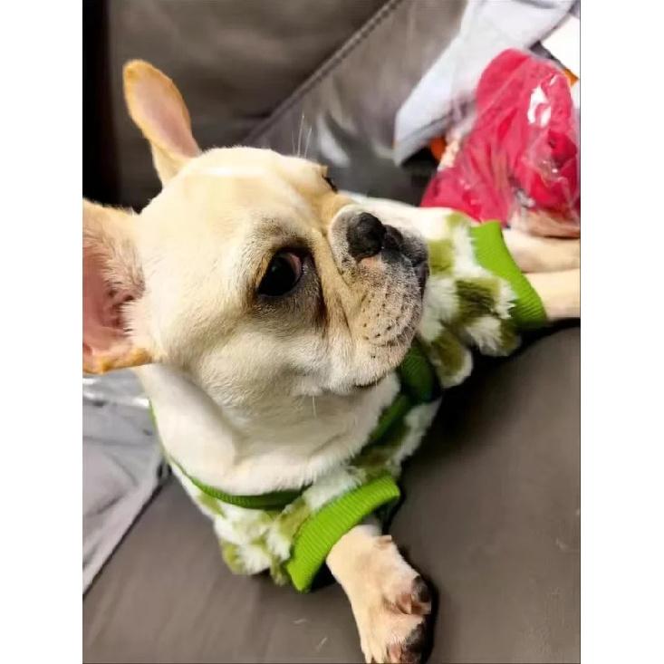 French Bulldog Winter Dog Clothes Coat Warm and Thickened Vest Jacket Fat Dog Costume Bulldog Pug Green Plaid Pet Dog Clothes