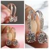 Light Luxury Round Crystal Ear Studs Simple Ladies' Ear Accessories  Jewelry Gifts