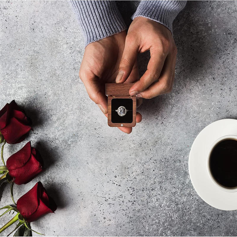 Rese smyckeskrin för ringar, örhängen och hängen Lättviktsförvaringsorganisatör med säker stängning Perfekt för resor och daglig smyckesskydd