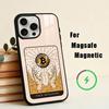 Cool Art Bitcoin Digital  Phone Case For iPhone 17,16,15,14,13,12,Plus,Pro,Max for Magsafe Magnetic Wireless Charging