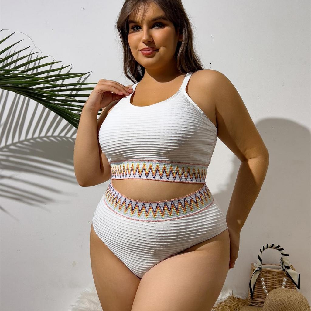 Sexy European and American Large Size High Waist Split Bikini Women's Swimsuit