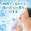 Extra Large Bold Laundry Fresh Flower Soap Scent [Set] Detergent, (640g + 2,200g Refill)