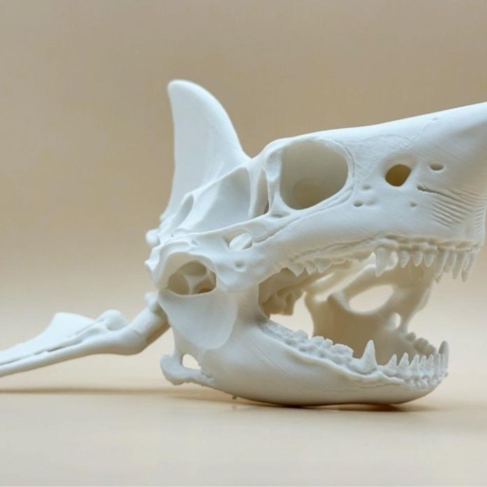 3D Printing Shark Skull Skeleton Cosplay Props Aquarium Ornaments Fish Tanks, Reptiles Fish Tank Landscapes Fish Shrimp Shelter