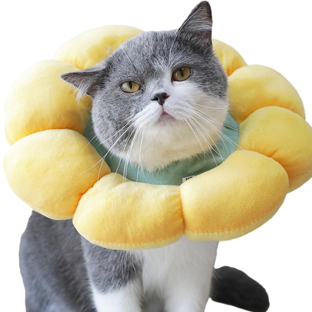 MITTENS Genesungshalsband Für Katzen – Weicher, Wendbarer Elizabethanischer Kegel (Biene, Klein)