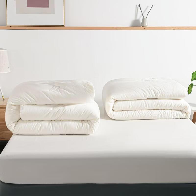 

Brangdy Winter Soy Fiber Detachable Duvet
