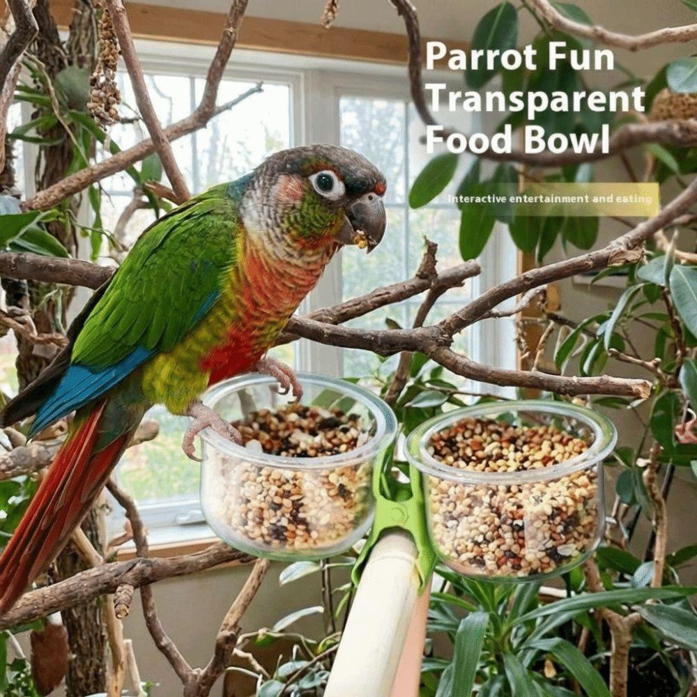 With Clip Parrot Food Bowl Transparent Feeder Cup Bird Perch Stand Water Bowl Small Pet Bird