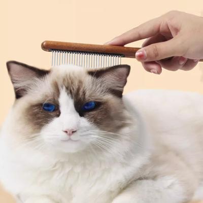 Pente para gatos Pente para gatos Escova para pelos longos Pente para gatos Agulha para abrir nós para remover pelos flutuantes Acessórios Pente para animais de estimação