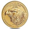 2025 Statue of Liberty Gold Coin Commemorative Eagle Dollar