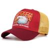 2025 Creative New Webhat SKYRIDER Airplane Street Dance Skateboarding Hip Hop Hat Truck Hat Outdoor Sports Sunshade Baseball Hat